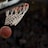 洛杉矶湖人队篮球俱乐部徽章，NBA豪门